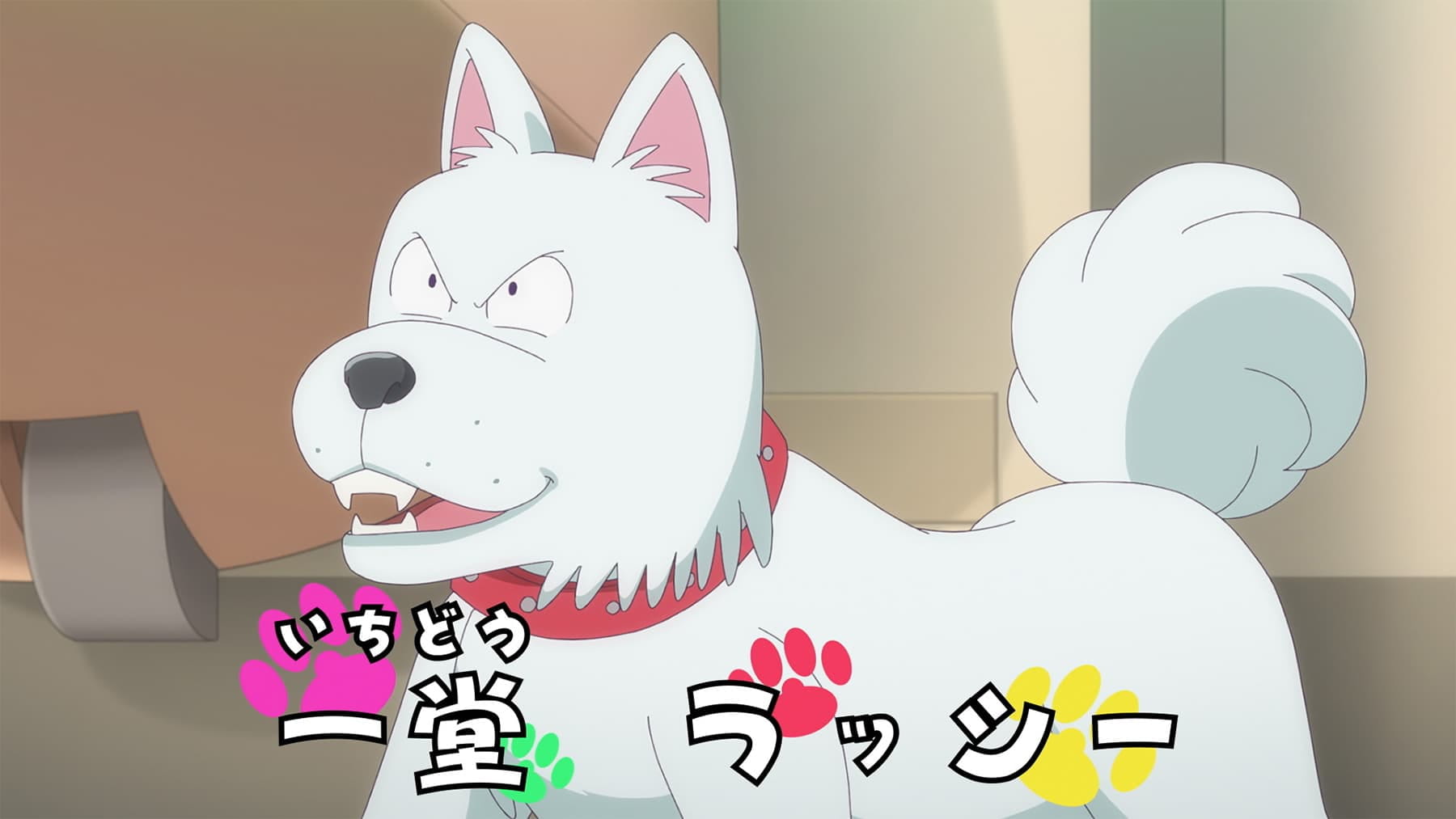 TVアニメ『ハイスクール！奇面組』公式サイト